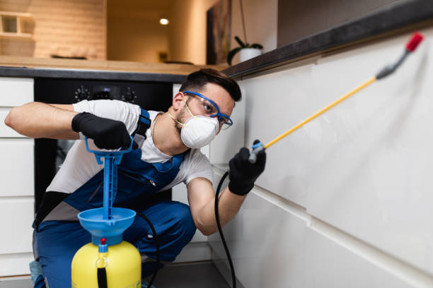 Best Exterminator Services  in Marlow Heights, MD