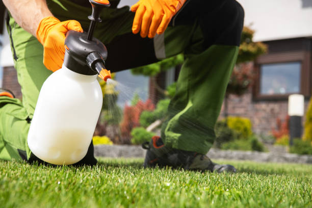 Best Best Pest Control Companies  in Marlow Heights, MD
