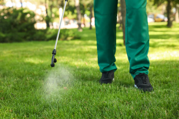 Best Pest Control for Businesses  in Marlow Heights, MD