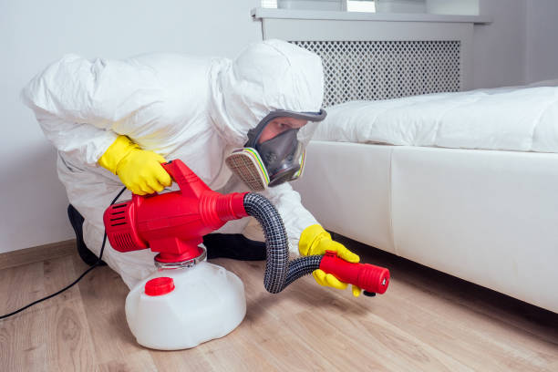 Best Flea Control Services  in Marlow Heights, MD