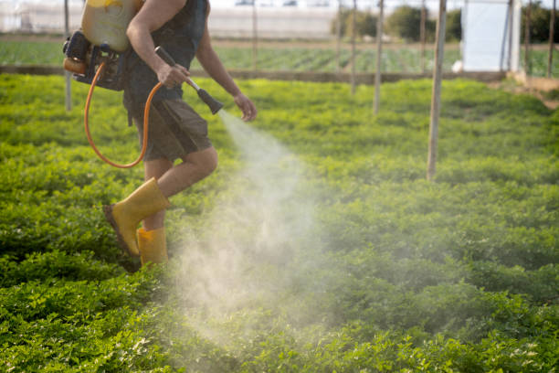 Professional Pest Control in Marlow Heights, MD