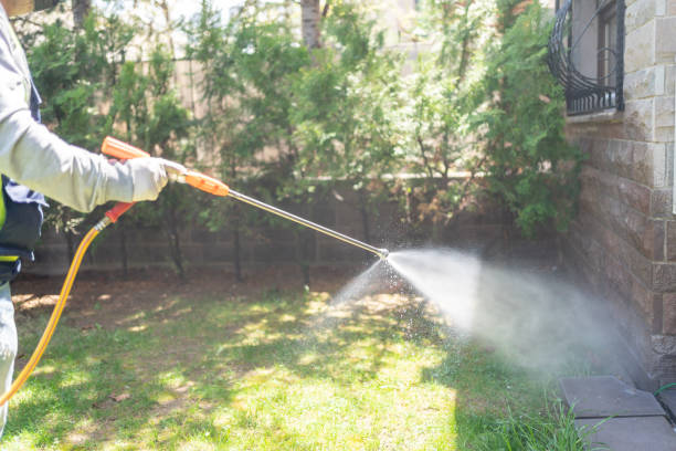 Wasp Removal Services in Marlow Heights, MD