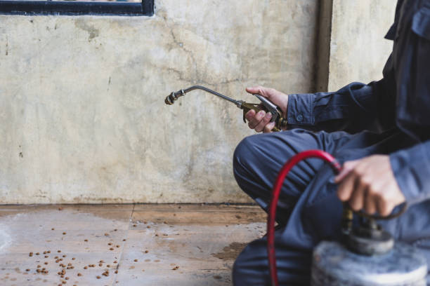 Best Pest Removal Services  in Marlow Heights, MD